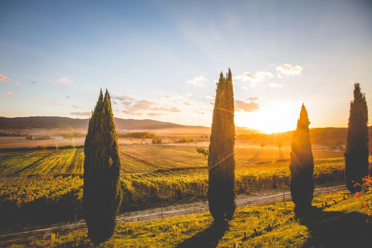 Villa Casali Di Bibbiano à Buonconvento Extérieur photo